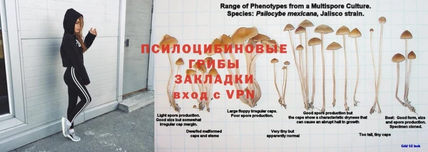 гидропоника Бронницы